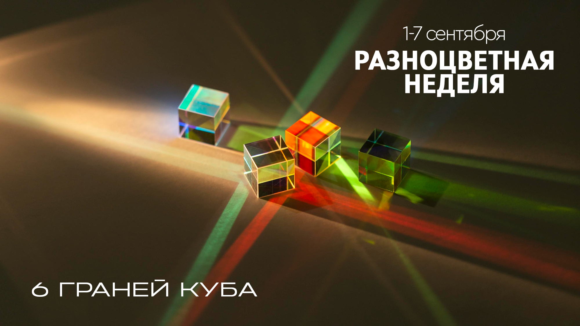 Мастер-класс "Боевой школы"