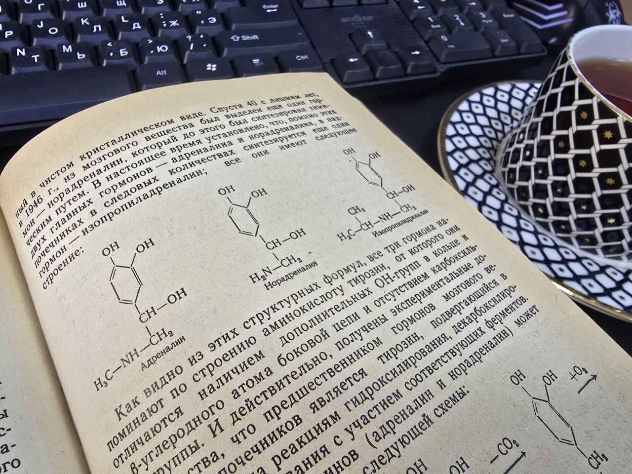 Антихрупкость лидеров. Формула устойчивости топ-менеджера в эпоху перманентного кризиса