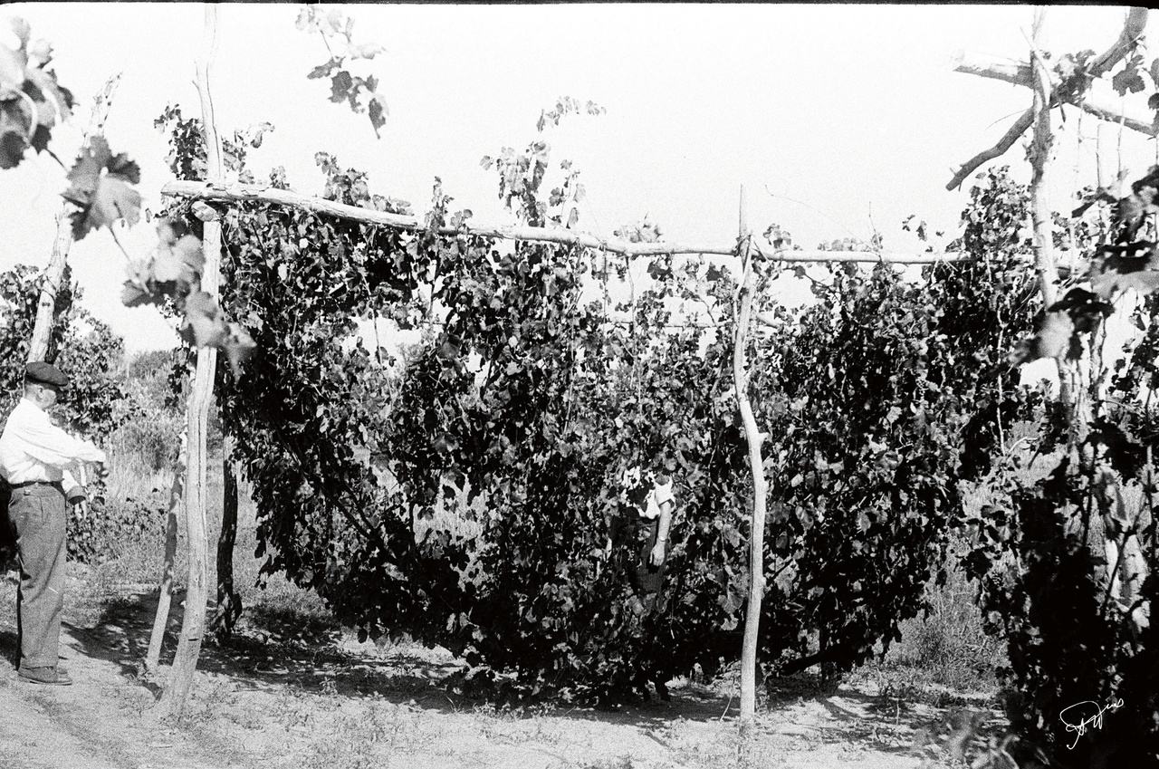 Мастер-класс | "Из века в век, от чарки до бокала"