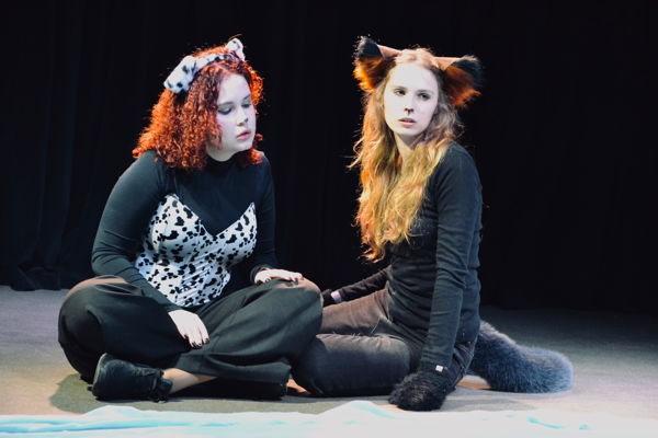 Спектакль по итальянской версии сказки «Волшебное кольцо»