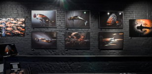Выставка подводной фотографии MISTERI DEL NERO