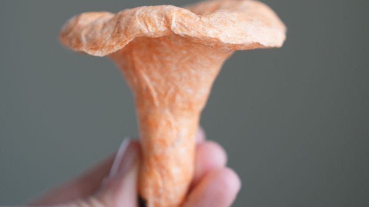 Мастер-класс "Гриб-лисичка"