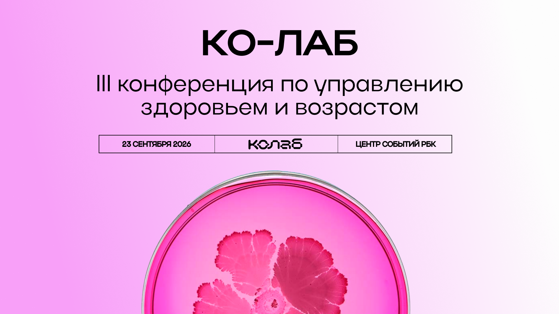 Конференция ко-лаб