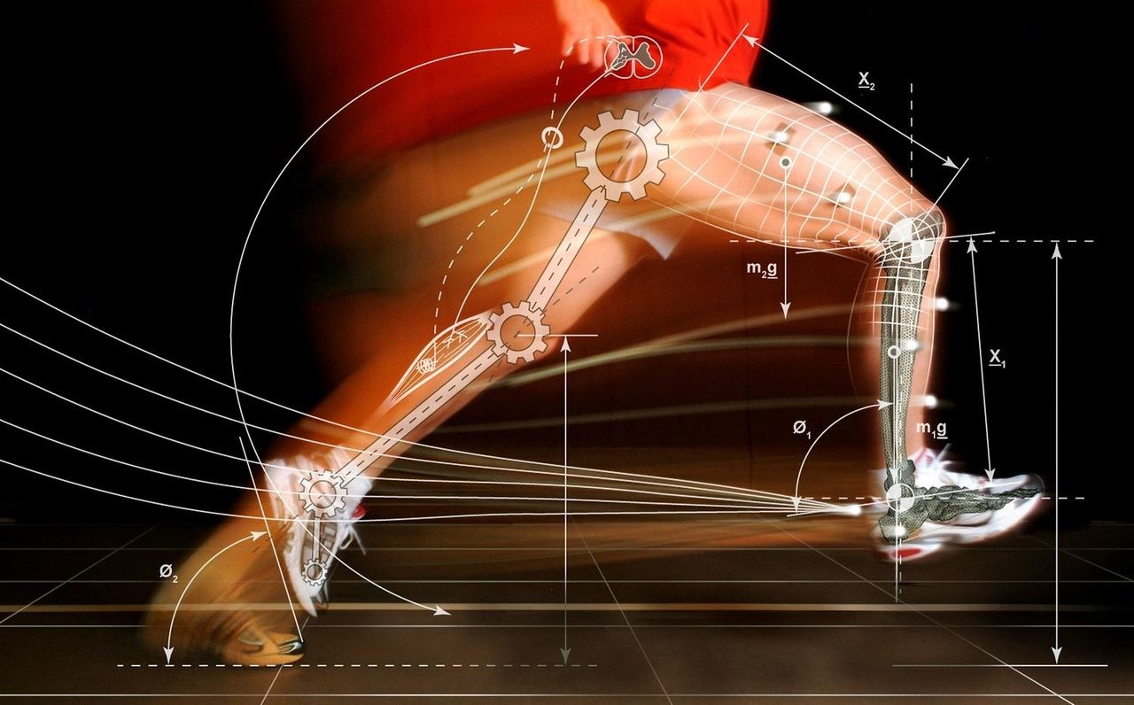 Биомеханика человеческого тела