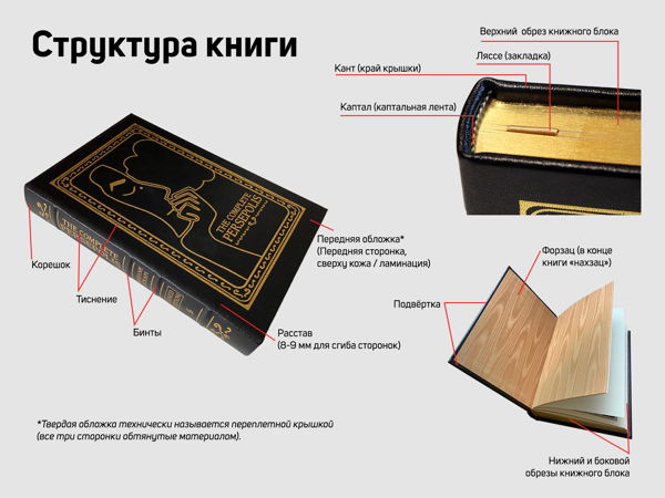 Анатомия книги. Мероприятие в рамках всероссийской акции Библионочь