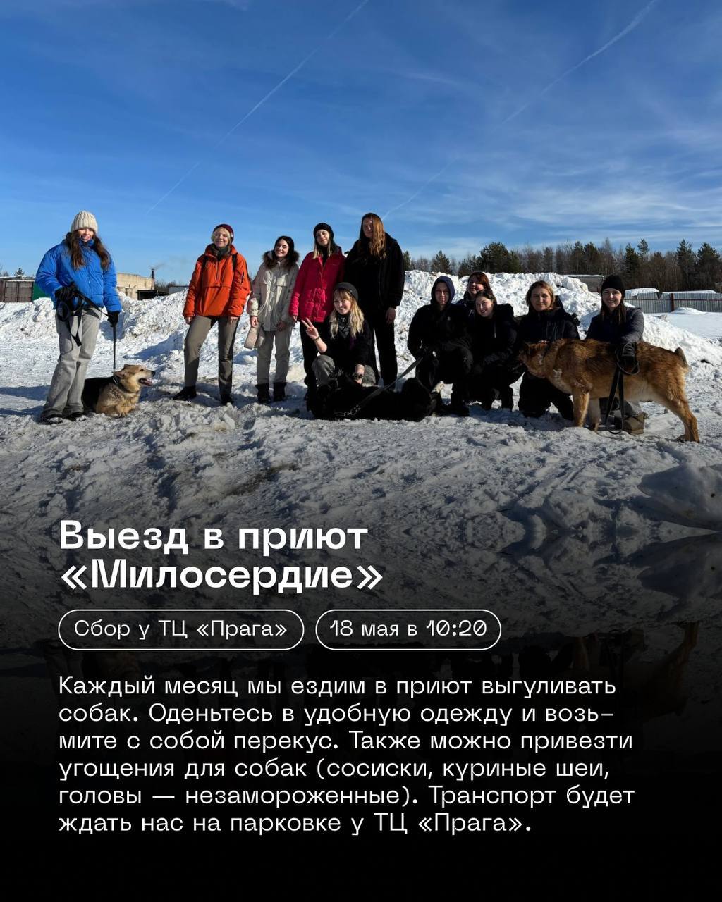 Выезд в приют | АрхИНФ