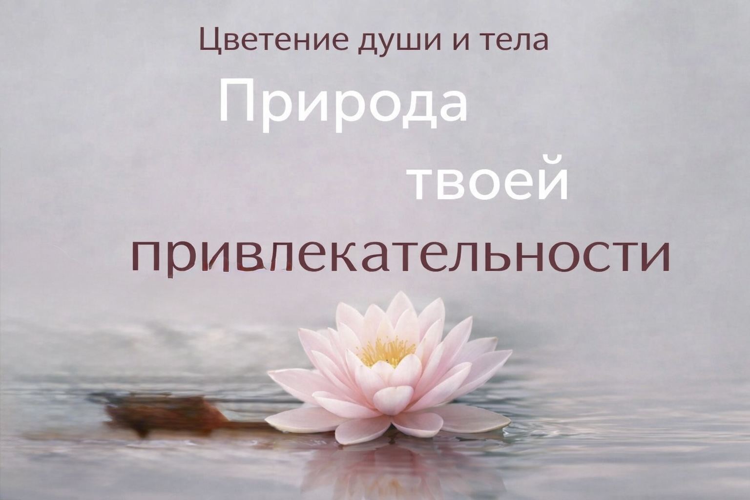 МКЛ Природа твоей привлекательности"