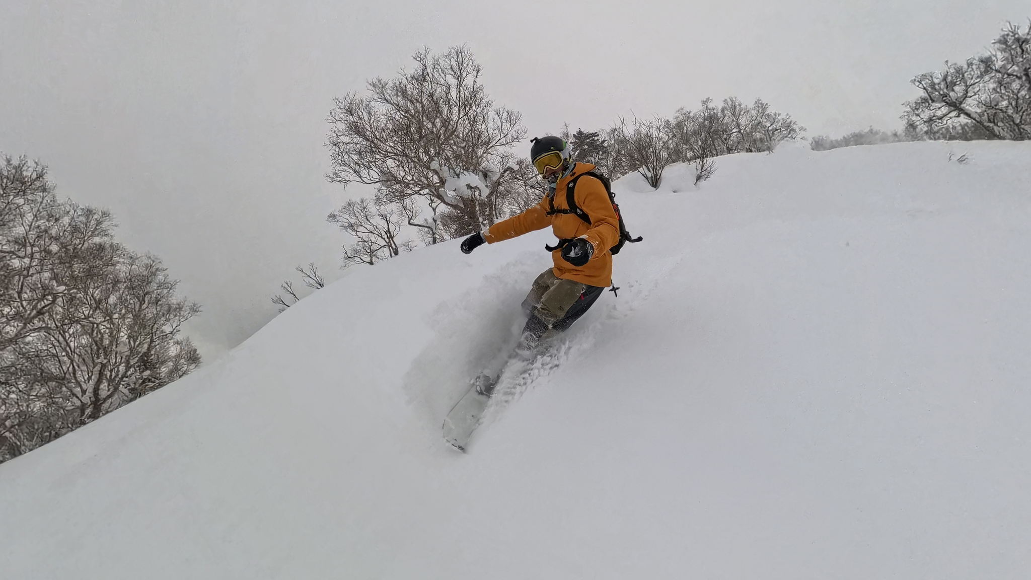 Фрирайд в Японии. Как выбрать регион катания?