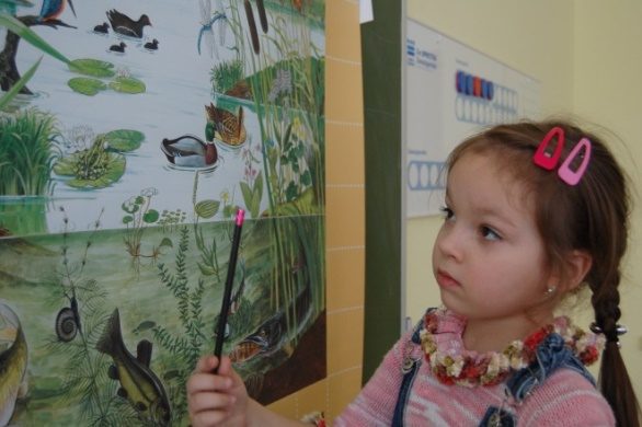 БУКВЫ. РАССКАЗ ПО КАРТИНКЕ. Мастер-класс для детей 6 — 7 лет
