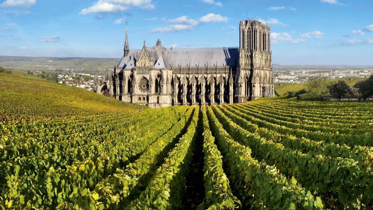 Стиль Blanc de Blancs: терруары Шампани