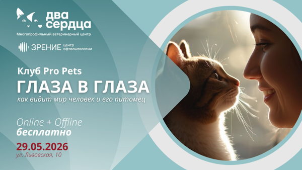 Глаза в глаза: как видит мир человек и его питомец