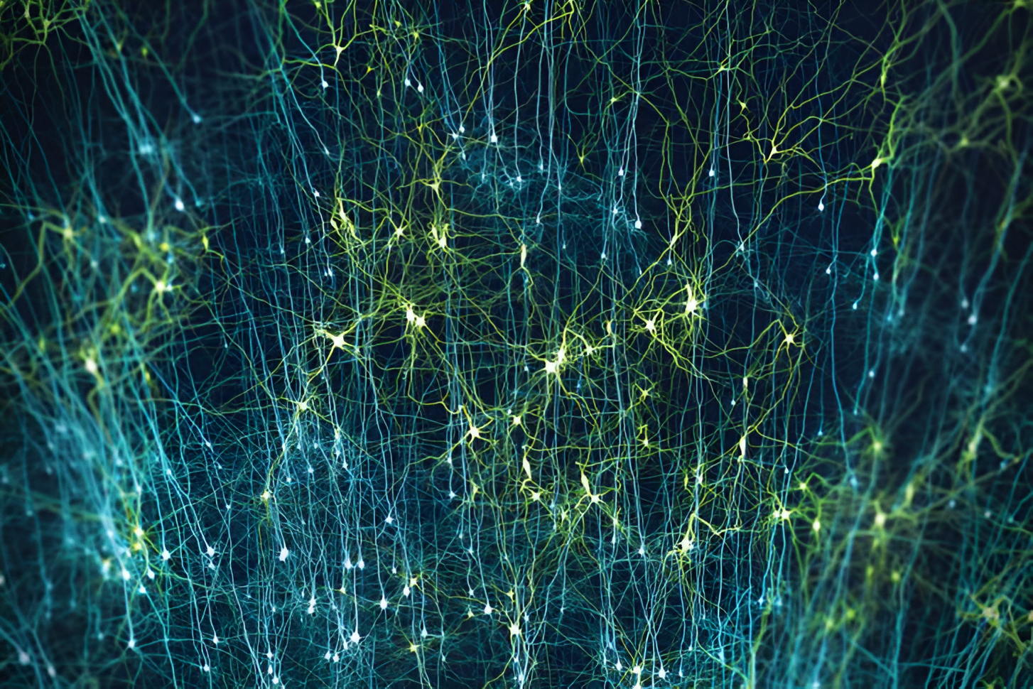 Онлайн-лекция Сергея Лопатина "Когда движение становится выбором. Моторная кора и иллюзия контроля"