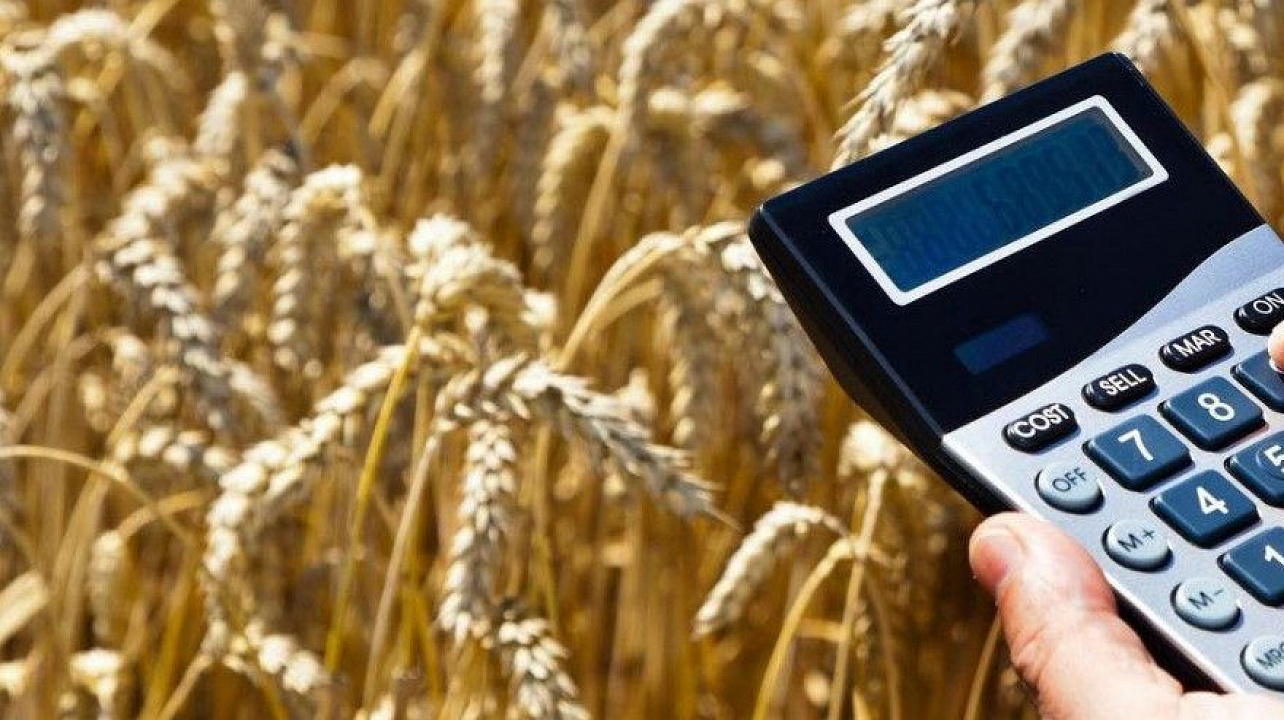 Новое в государственной поддержке сельхозтоваропроизводителей