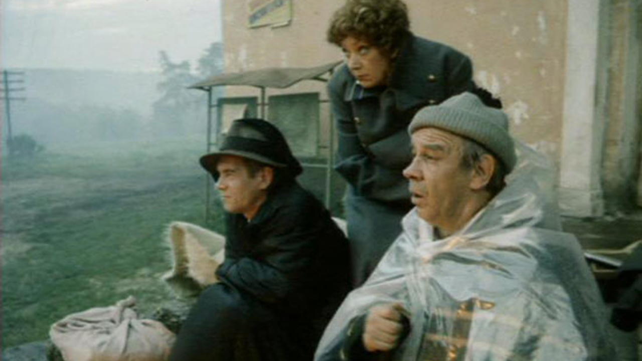 Фильм «Бродячий автобус», 1989. (к/т «Иллюзион», Большой зал)