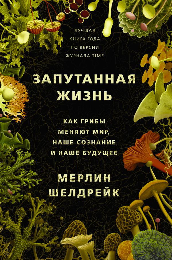 Диалектика мха на камне: читательский клуб