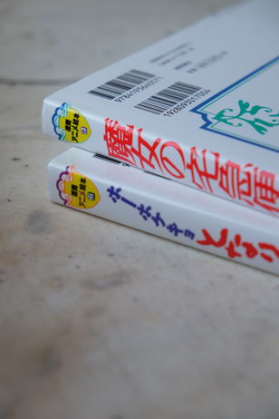 Международный культурный форум (The Japan Forum) — библиотеке Маяковского