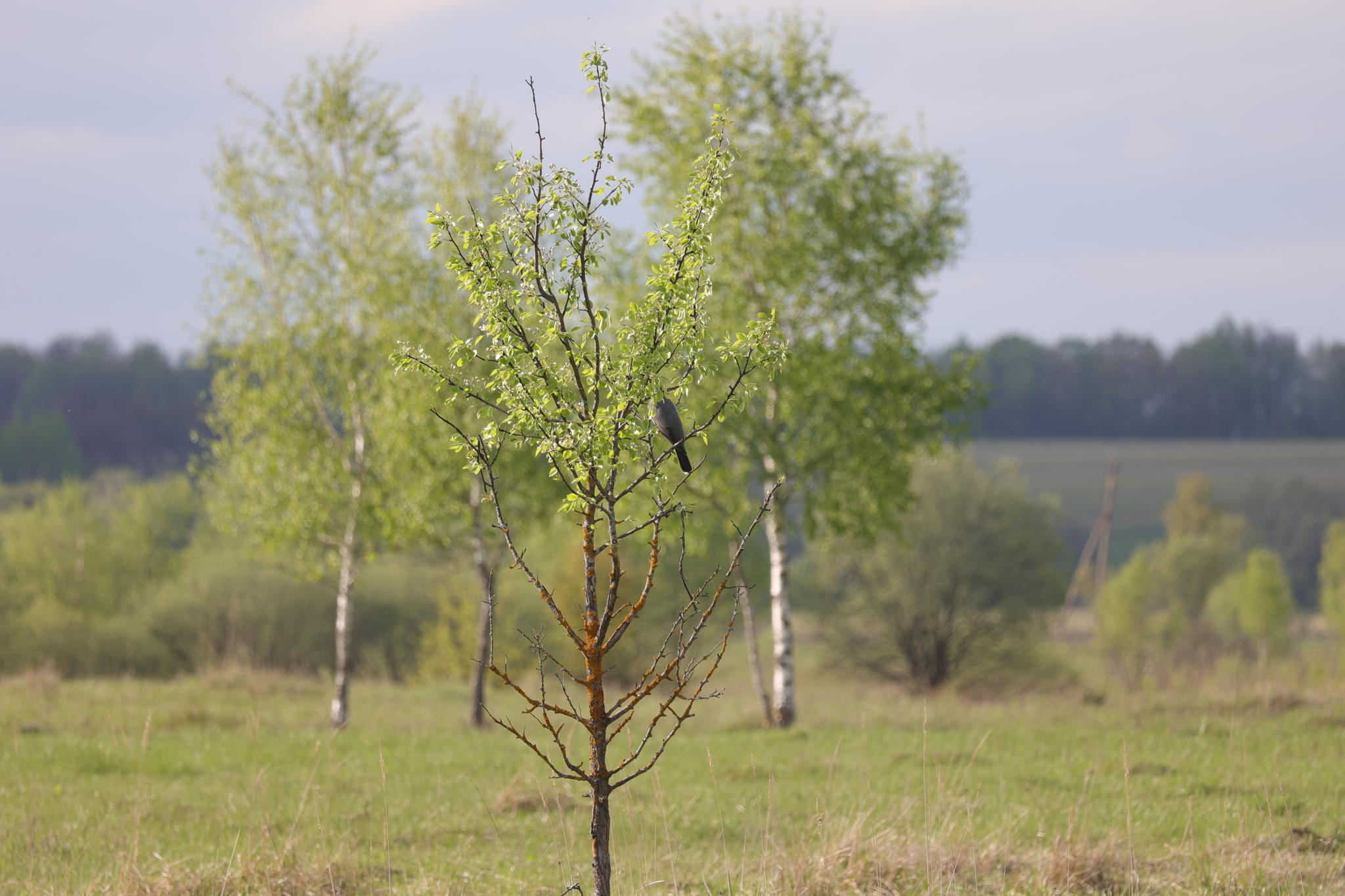 Писательская мастерская для подростков осень/зима 25