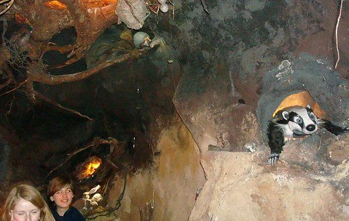 "СЕКРЕТНАЯ ЛАБОРАТОРИЯ ПОЧВЫ"