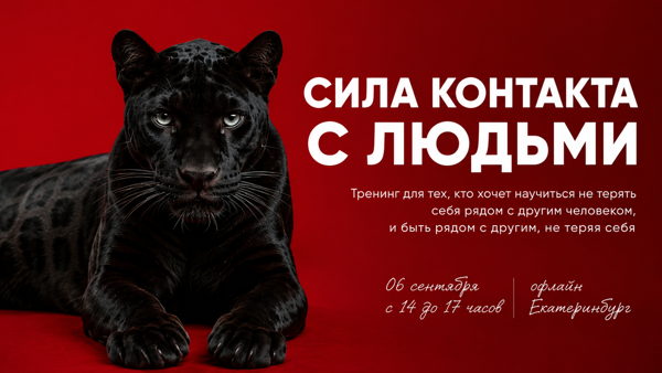 СИЛА КОНТАКТА С ЛЮДЬМИ