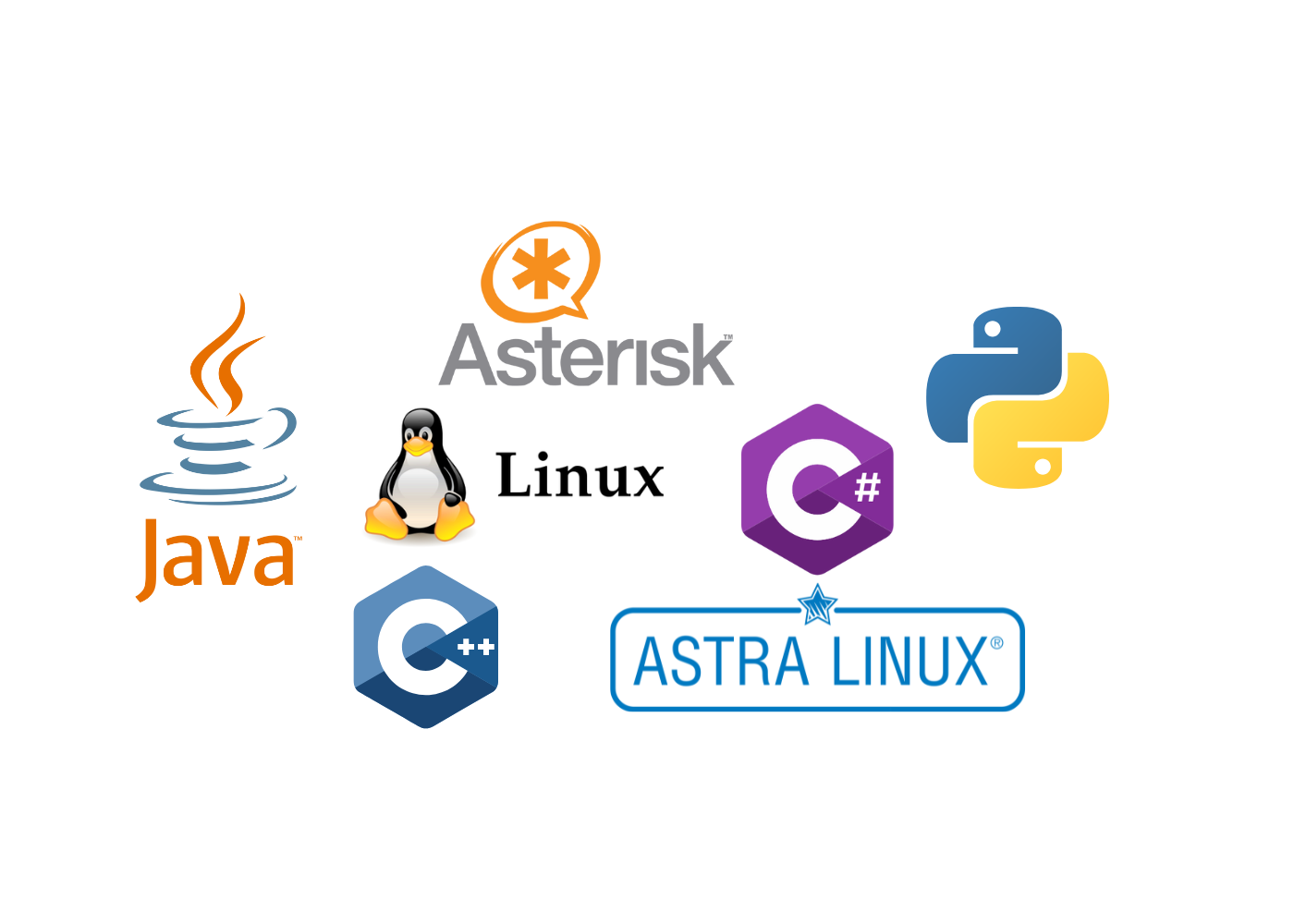 Основы программирования и GIT