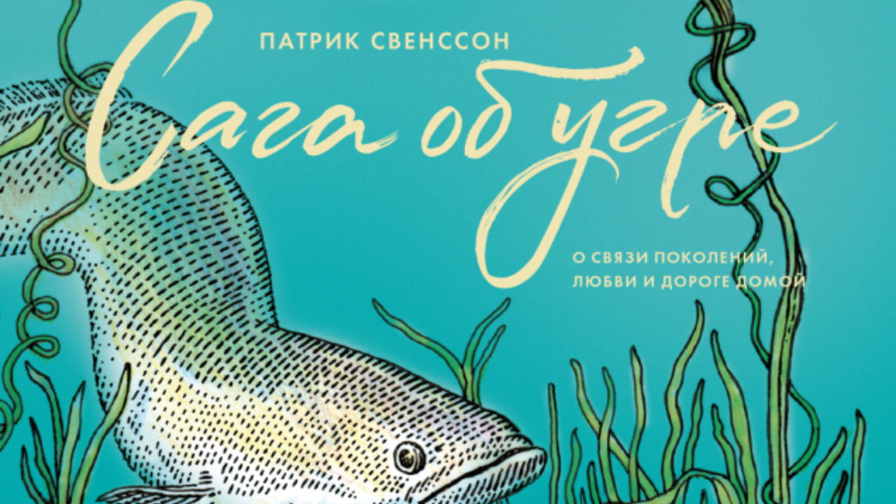 Диалектика мха на камне