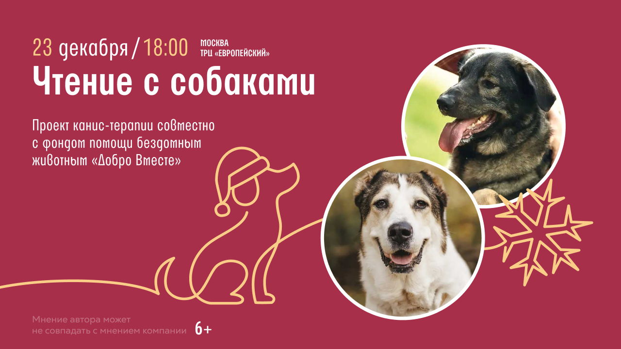 Чтение с собаками в Читай-городе