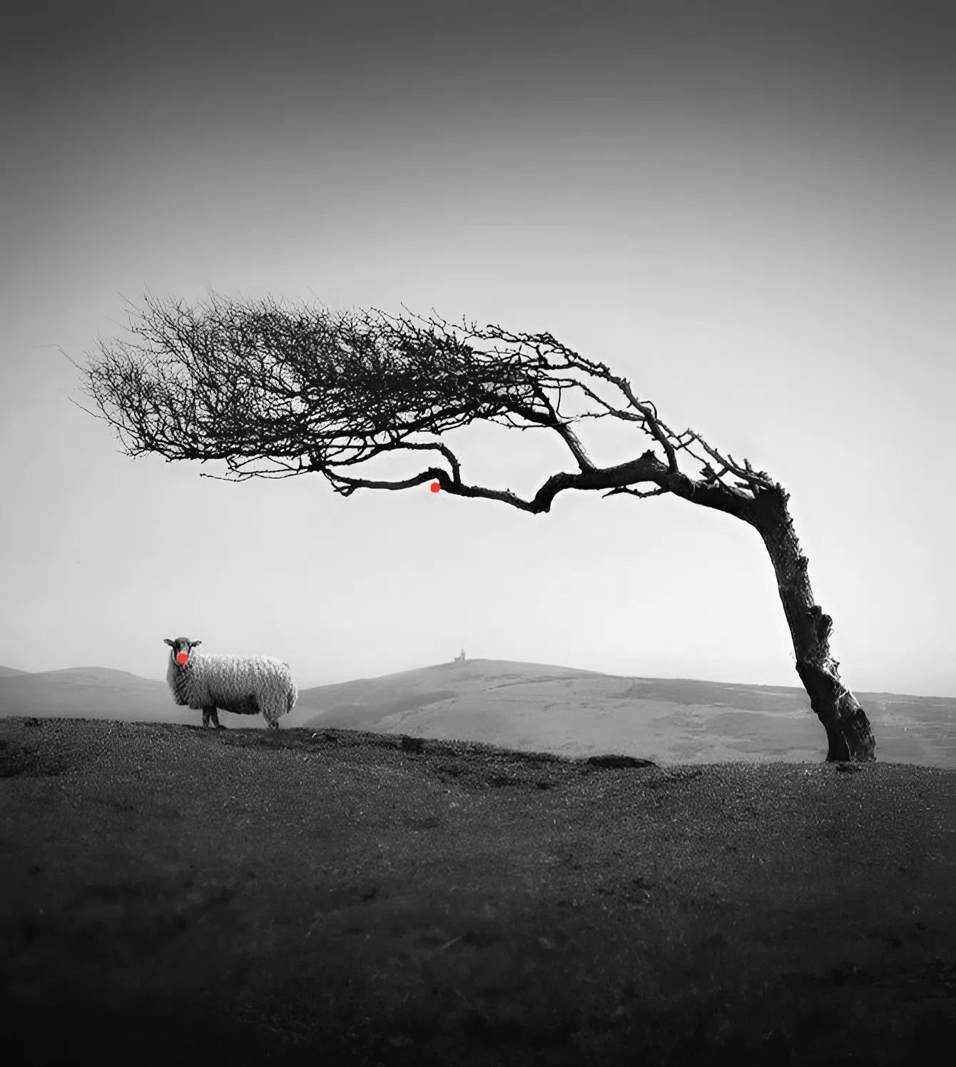 Спектакль «В жанре сутулой клоунады»