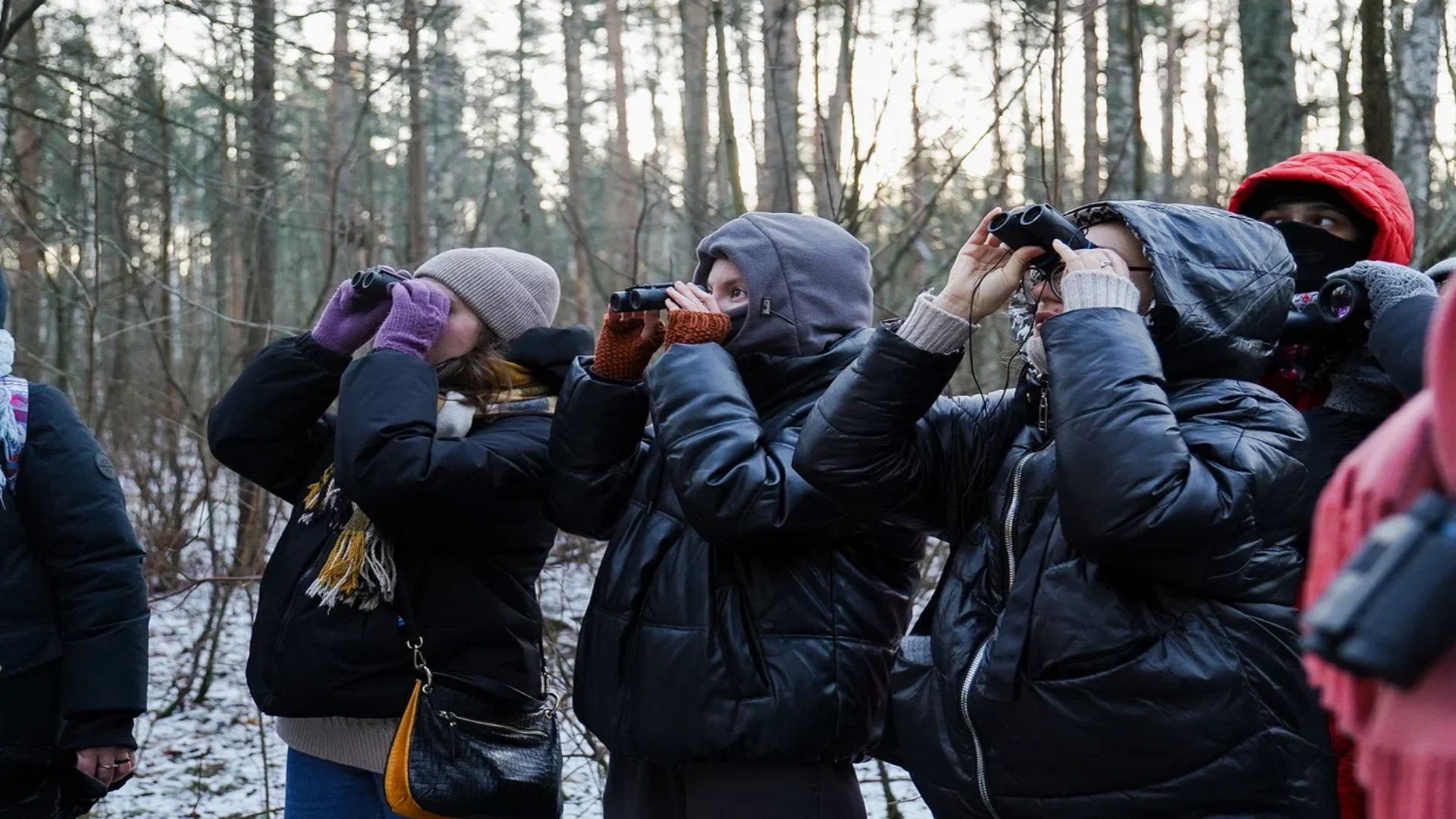 Бесплатная орнитологическая экскурсия в Московском парке Победы