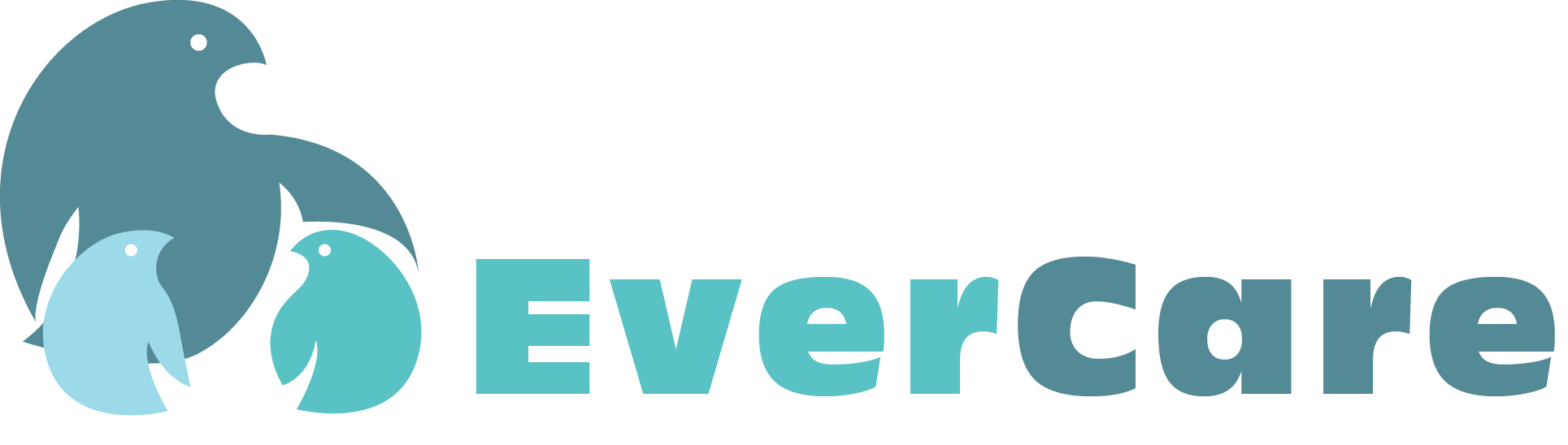 Evercare (мобильные технологии здоровья)