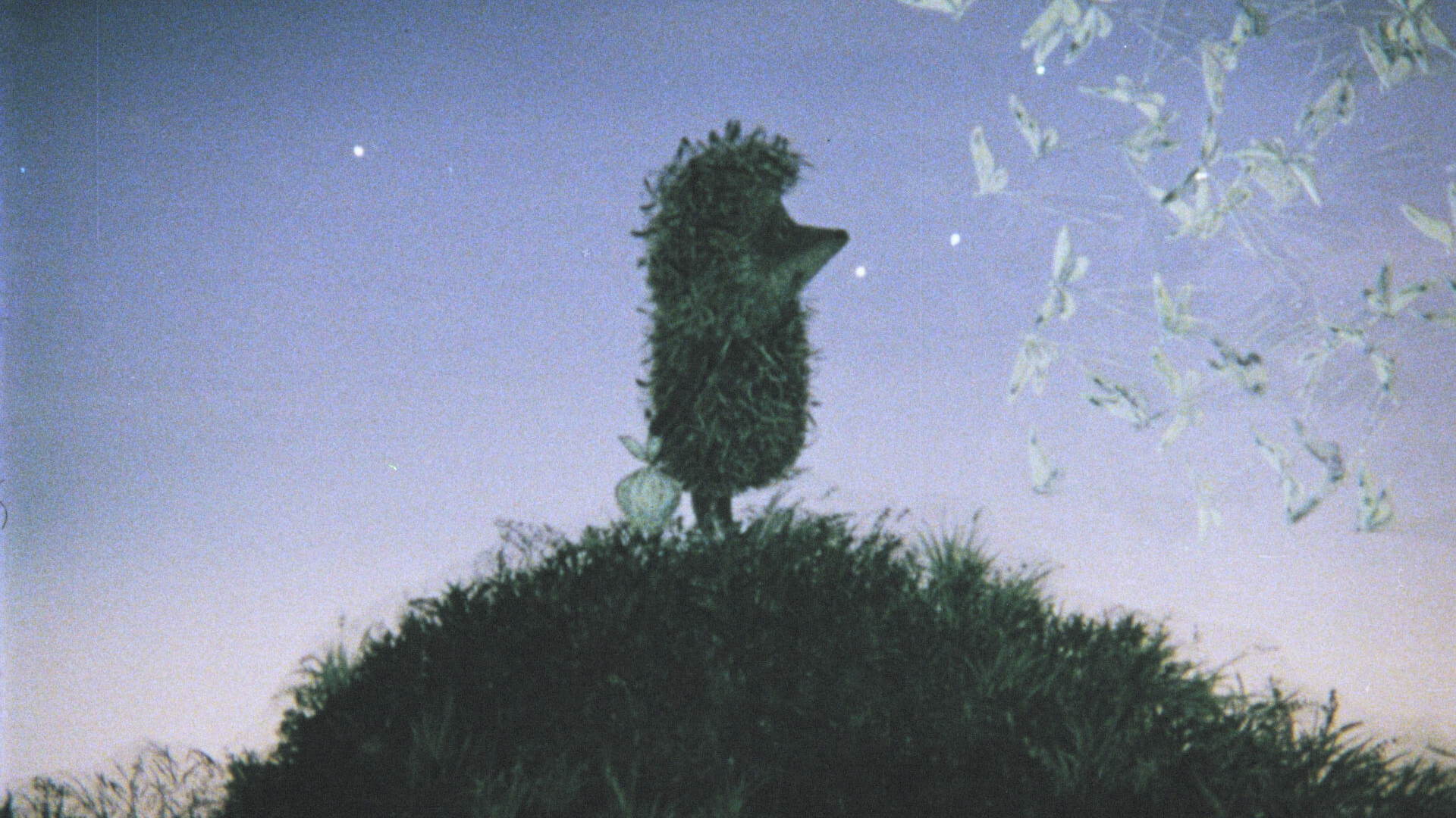 Лекция «Музыка из мультфильма»