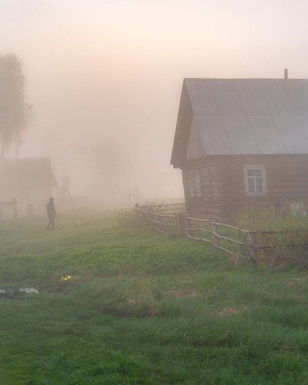 PREDUBEZHDAI &amp; «Лес и Ветер»