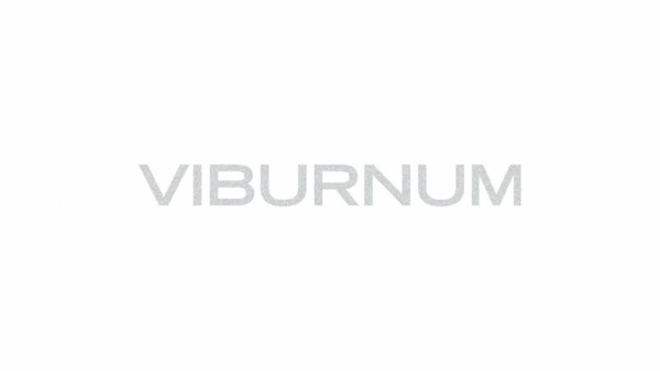 Мастер-класс от студии Viburnum