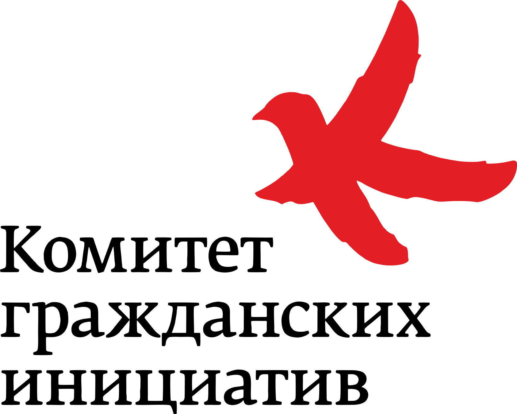 Университет Комитета Гражданских инициатив