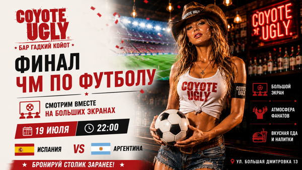 Финал ЧМ по футболу