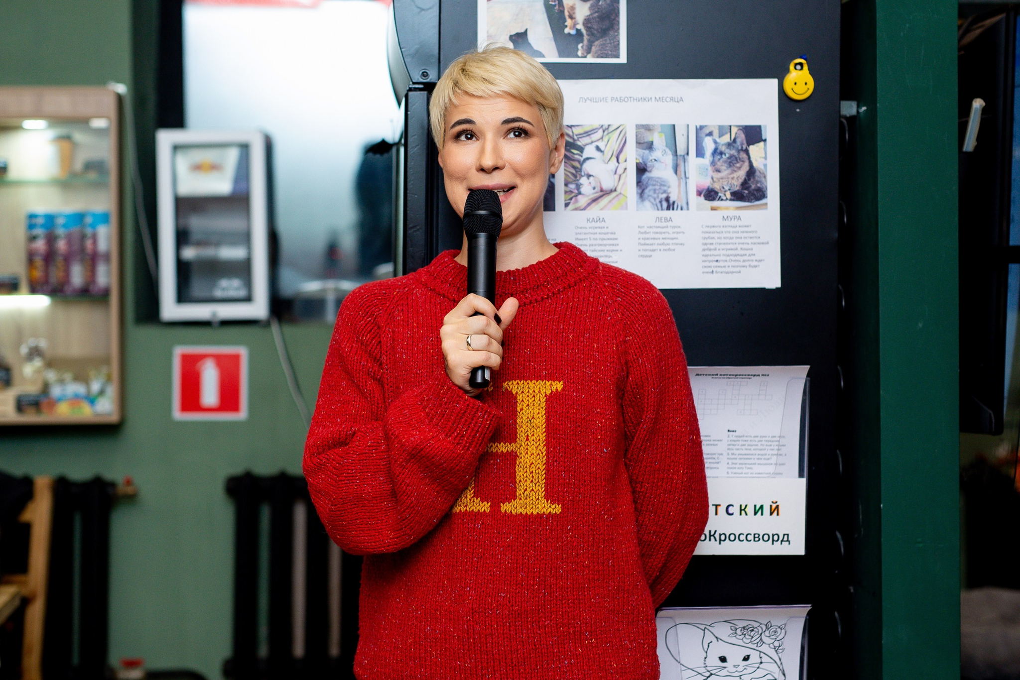 Книжный "Котоквиз". Онлайн-версия