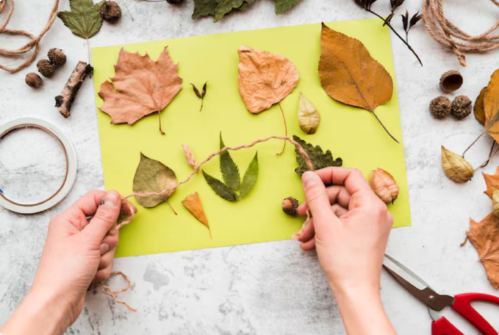 Мастер-класс по аппликации "Осень"