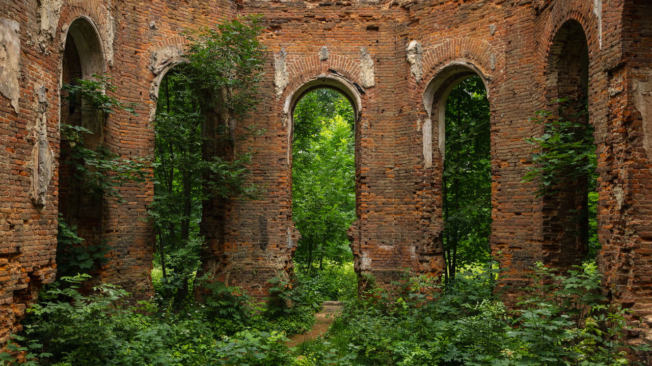 Лекция Ольги Давыдовой «Фотография и повседневность: от публичного к частному»