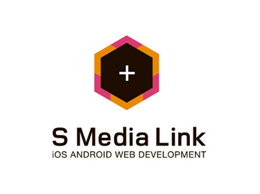 S Media Link