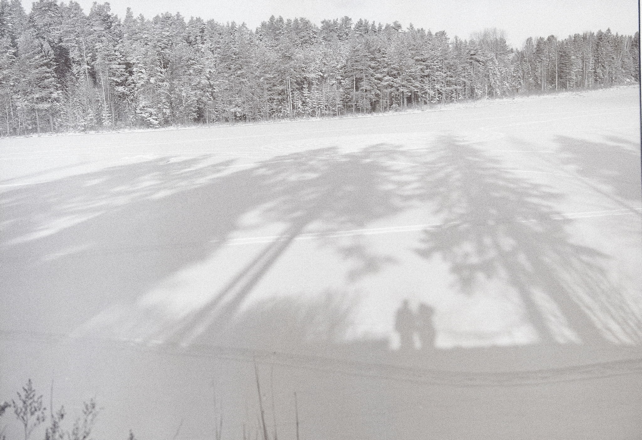 «Зимний блеск». Выставка работ фотоклуба «Фотосмена+»