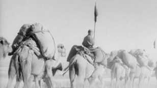 Фильм «Новости Дня — Хроника Наших Дней»
