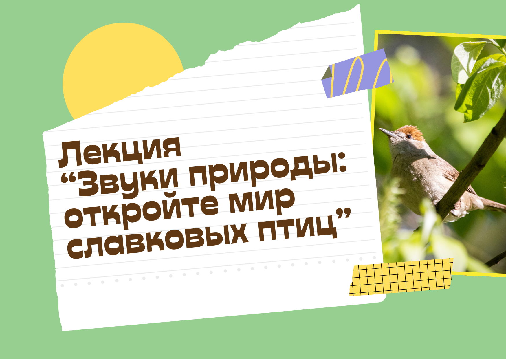 Онлайн-лекция ‭«Звуки природы: откройте мир славковых птиц‭»