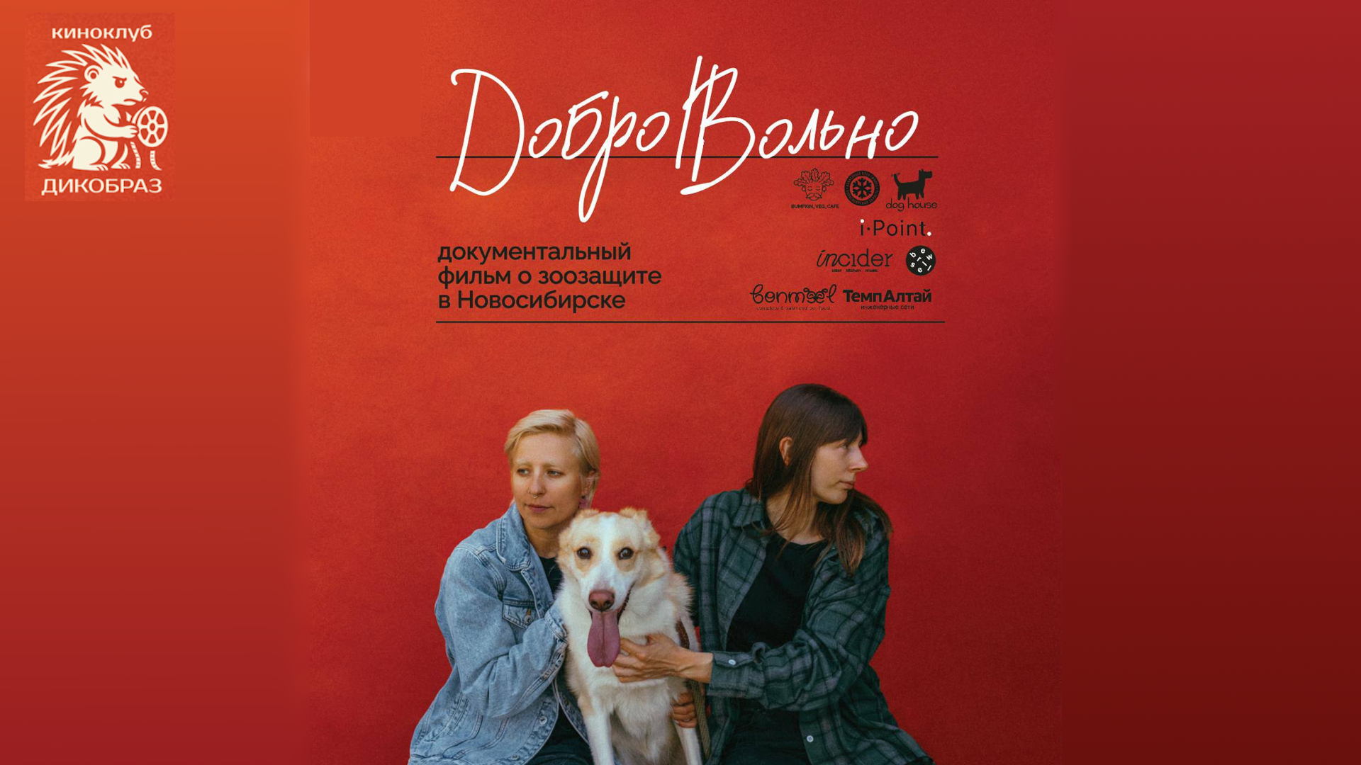 ДоброВольно документальный фильм о зоозащите в Новосибирске