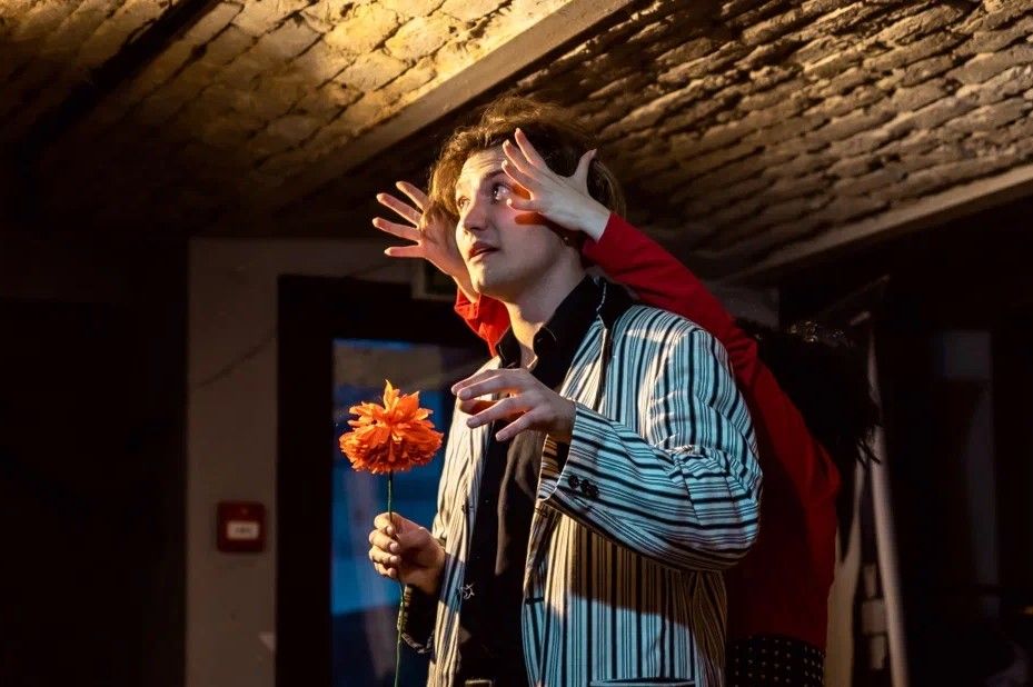 МИША Dark Comedy