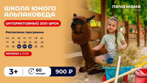 Школа юного альпаковеда