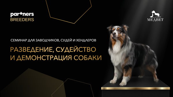 Семинар «PARTNERS BREEDERS» c РКФ в Казани