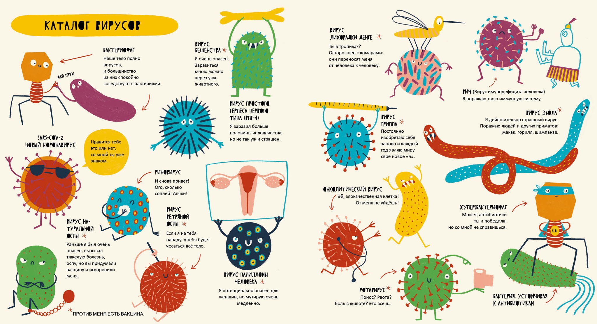 Какие есть вирусы. Вирусы и бактерии названия. "Бактерии и вирусы в жизни человека". Жизнь с вирусами. Вирусы бактерий примеры.