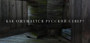 Арт-медиация выставки «Кого нету»