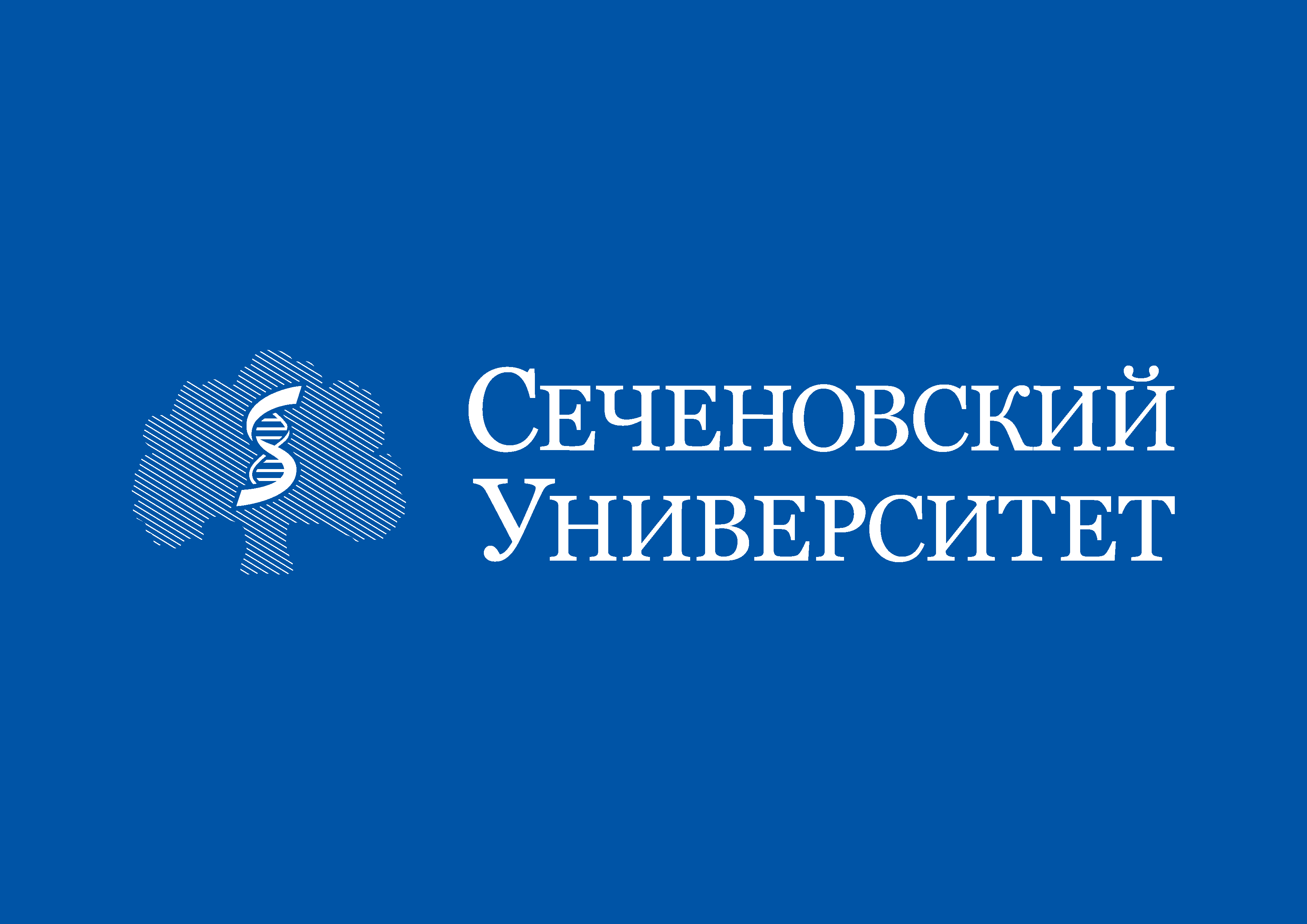 Шаблон презентации сеченовский университет