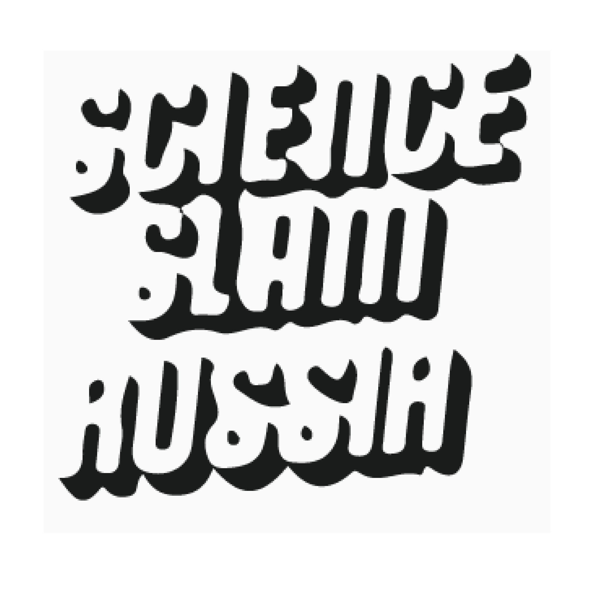 Ассоциация граждан и организаций по популяризации и продвижению науки и инноваций «Сайнс Слэм»