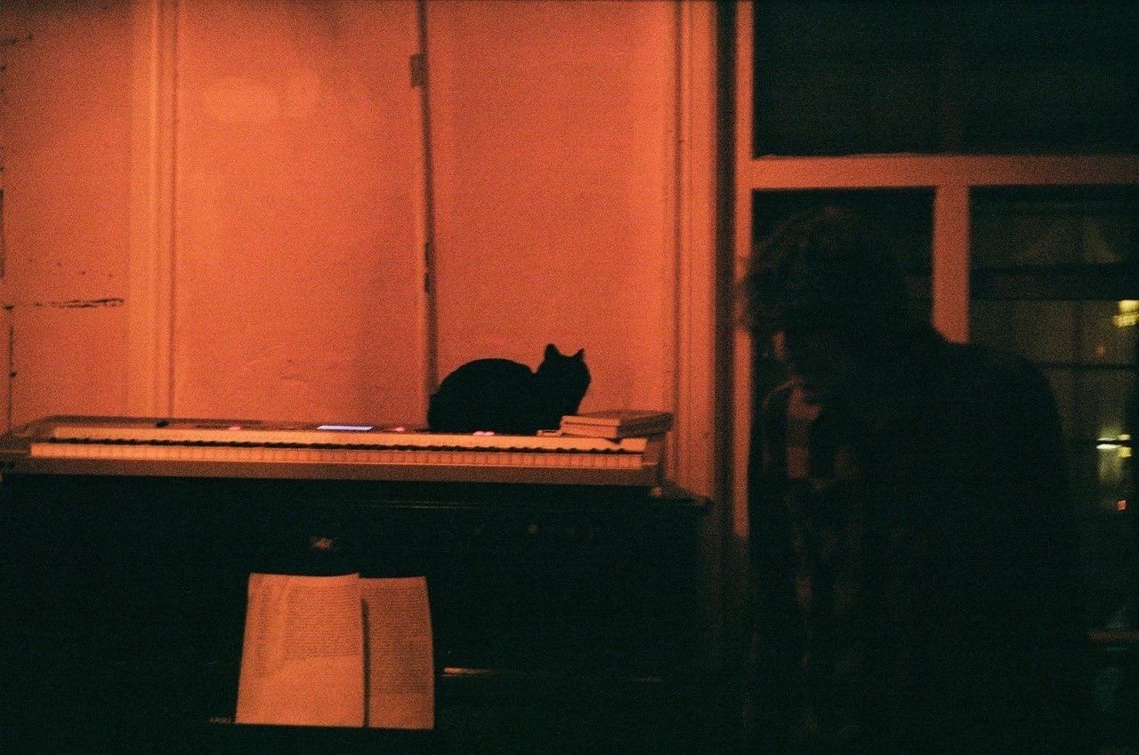 Дэвид Линч и американский роман: лекция Сергея Васильева